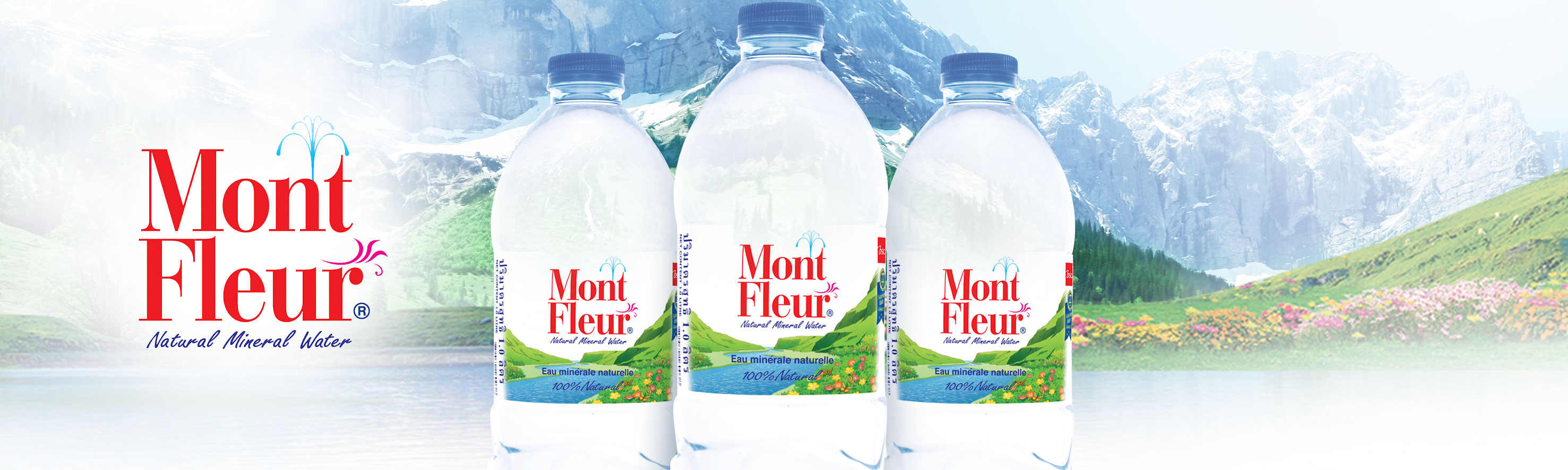 Montfleur Background